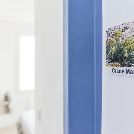 לינה וארוחת בוקר D'hotes Madan'hote קפברטון